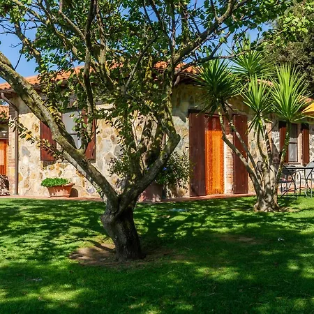 Il Cancellone - Farfalla *